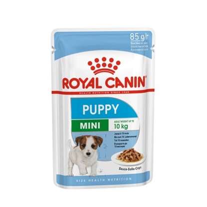 Picture of Royal Canin Mini Puppy Wet Food (in Gravy)